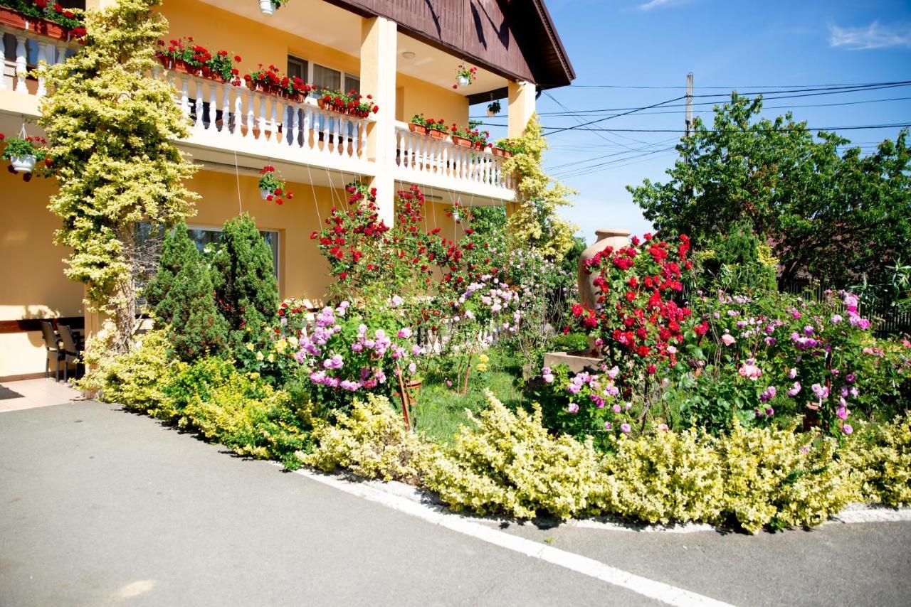 Motel Moara Veche Сэкэлэшени Экстерьер фото